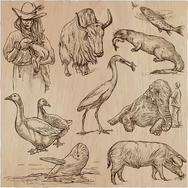 Hewan-hewan di seluruh dunia - Tas vektor yang digambar dengan tangan. Seni garis  . Stok Ilustrasi Bebas Royalti