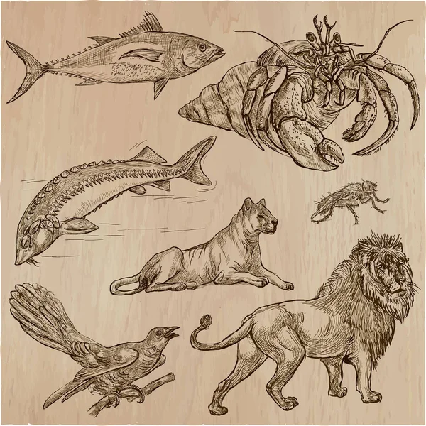 Animales - Un paquete de vectores dibujado a mano, arte de línea — Archivo Imágenes Vectoriales
