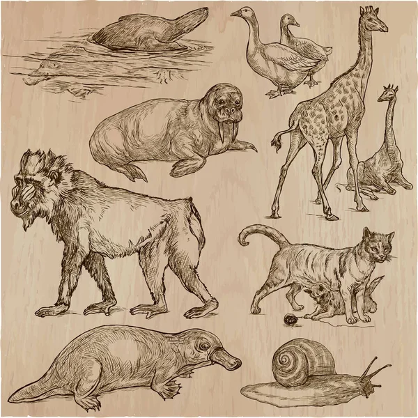 Animales - Un paquete de vectores dibujado a mano, arte de línea — Archivo Imágenes Vectoriales