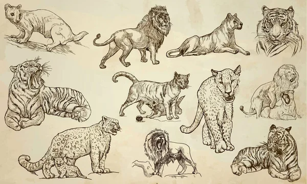 猫-手绘矢量包、 线条艺术 — 图库矢量图片
