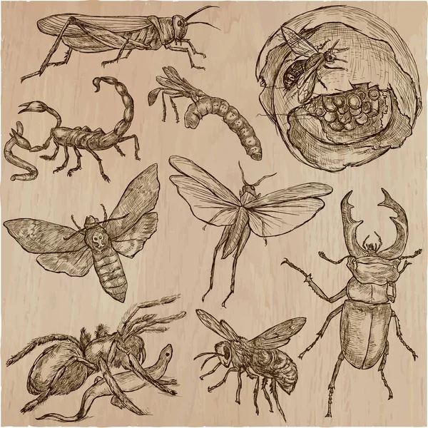 Hmyz - ručně kreslenou vektorové pack, perokresby — Stockový vektor