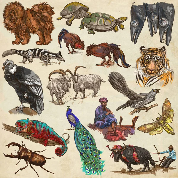 Eine handgezeichnete Sammlung in voller Größe, farbiges Rudel Tiere. auf — Stockfoto