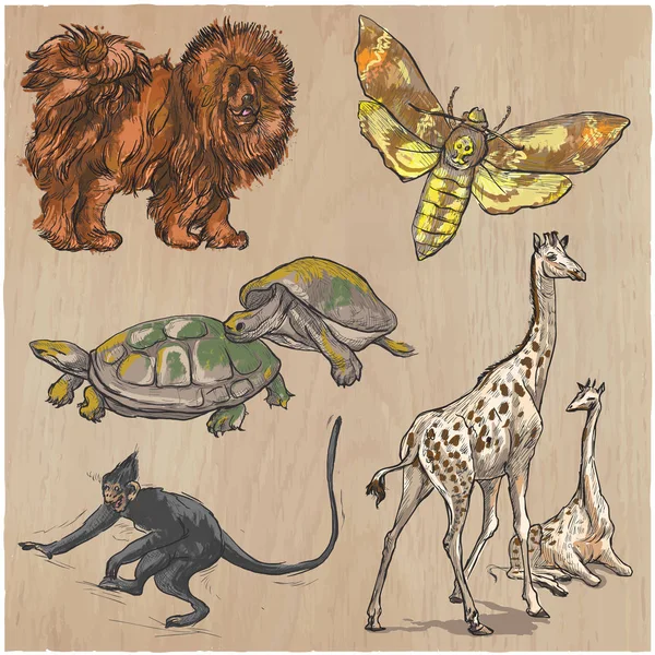 Una collezione vettoriale disegnata a mano, un branco di animali. Linea colorata a — Vettoriale Stock