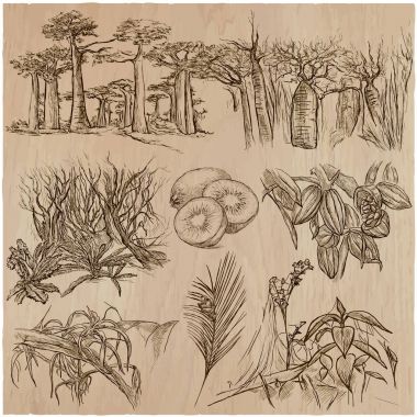 Çiçek - bir elle çizilmiş vektör paketi. Hat sanatı.