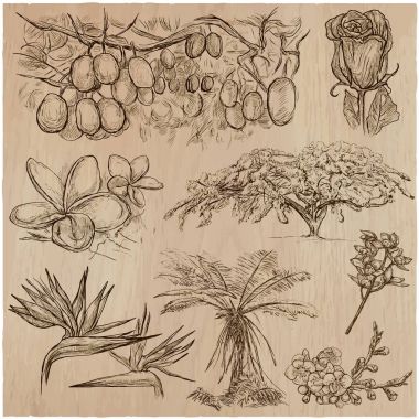 Çiçek - bir elle çizilmiş vektör paketi. Hat sanatı.