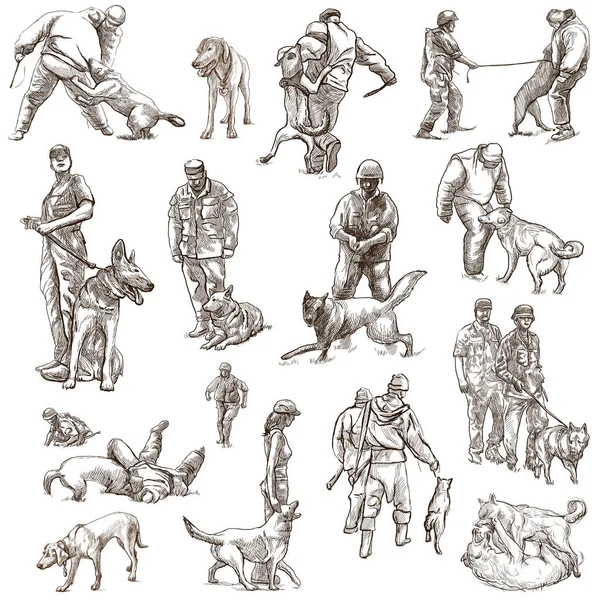 犬-犬の訓練。コレクション、フリーハンドスケッチのパック。線 — ストック写真