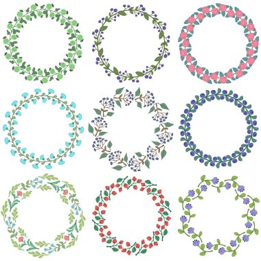 Froral dekoratif ornamets kümesi. vektör çizim.