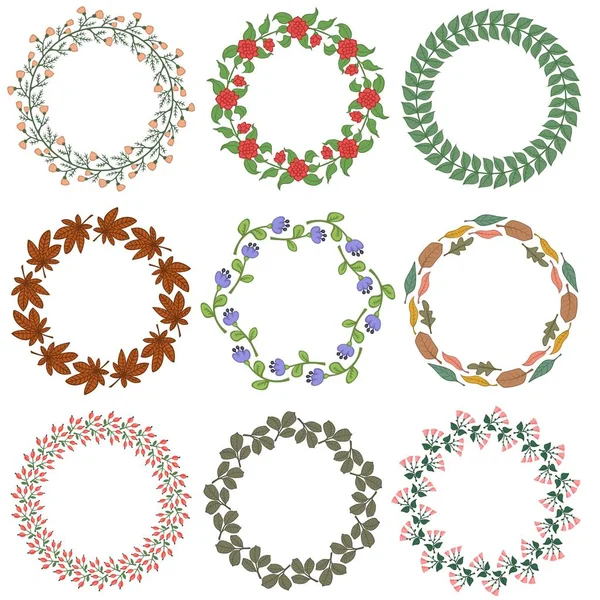 Set of froral decorative ornamets. vector illustration. — Stock Vector