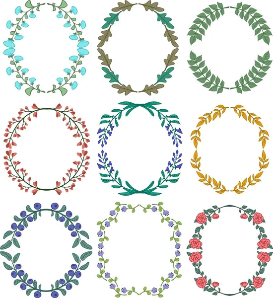 Set of froral decorative ornamets. vector illustration. — Stock Vector