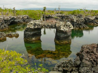 Lav Tünelleri, Isabela Adası, Galapagos