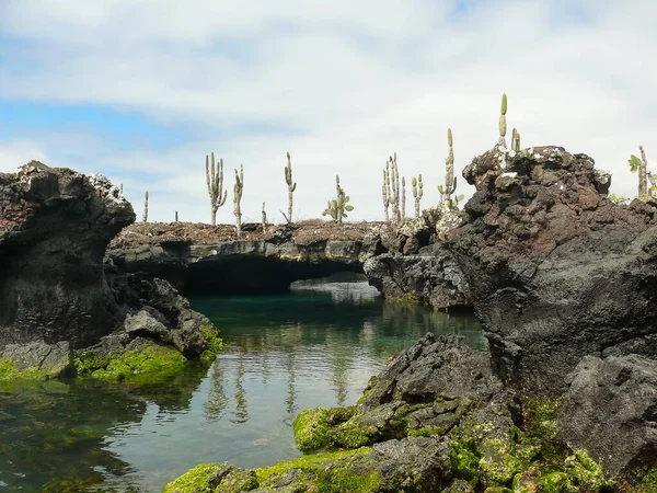 Túneles de lava, Isla Isabela, Galápagos — Foto de Stock
