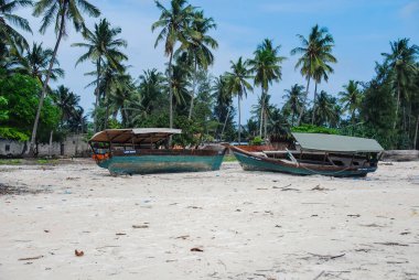 Zanzabar Adası plajı manzarası