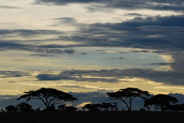 Закат над равнинами Африки — стоковое фото