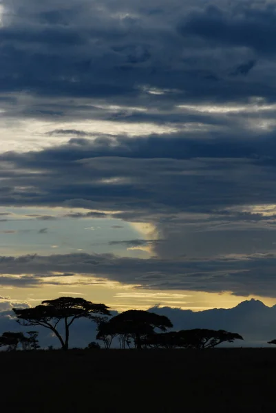 Puesta de sol sobre las llanuras de África —  Fotos de Stock