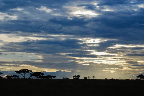 Puesta de sol sobre las llanuras de África —  Fotos de Stock