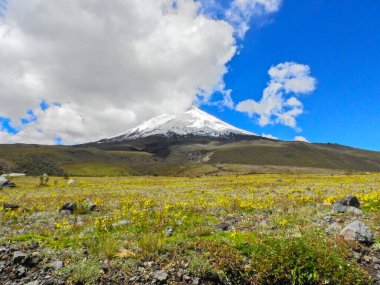 Cotopaxi yanardağ