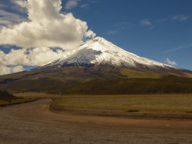 Cotopaxi yanardağ