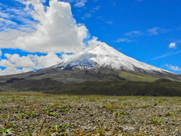 Cotopaxi Volcano — Stock Photo, Image