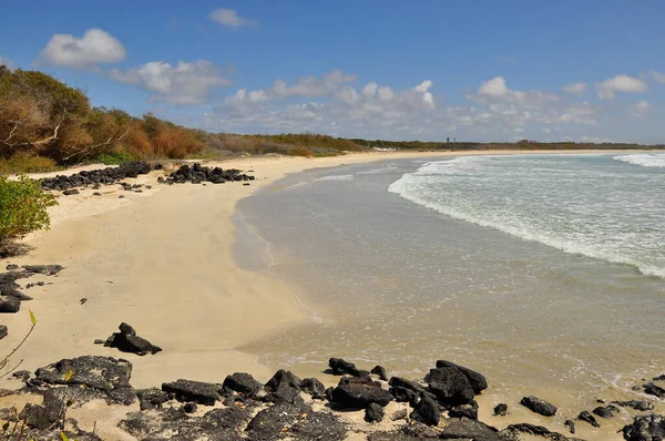 Praia da Ilha Isabela, Galápagos, Equador — Fotografia de Stock