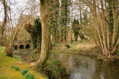 Uzakta kemer ve ağaçlarla örülü bir nehir. 