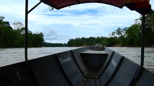 南美洲亚马逊河上的一艘机动独木舟 — 图库视频影像