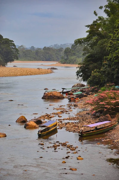 Varias canoas de madera en la orilla del río — Foto de Stock