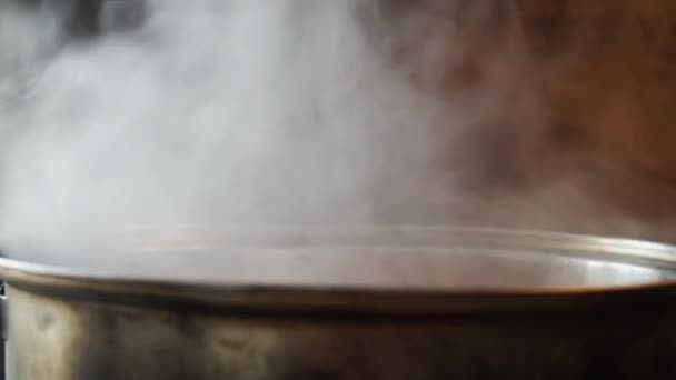 Dampf Aus Dem Topf Beim Kochen — Stockvideo