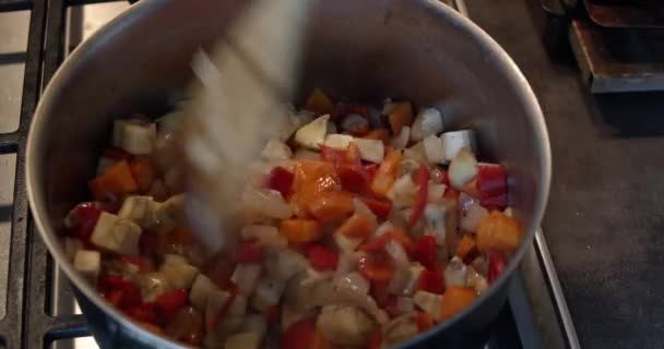 Preparing home cooked meal in a stew pot — Stock Footage Preparing Home Cooked Meal Stew Pot Stock Video