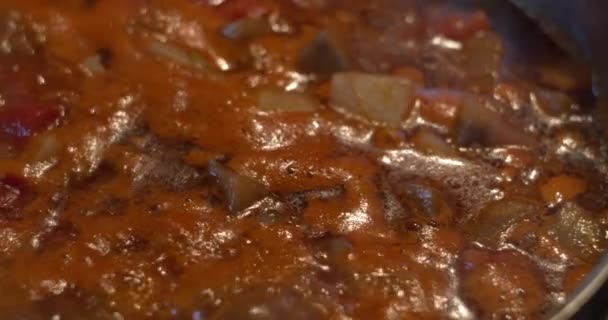 Homemade stew dish boiling while cooking — Stock Footage Homemade Stew Dish Boiling While Cooking Stock Footage