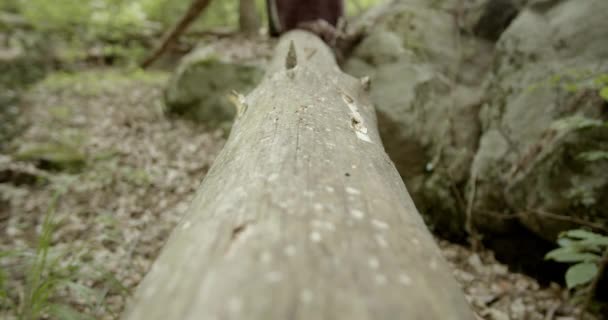 Nagie Kobiece Stopy Idące Pniu Drzewa Kierunku Aparatu Fotograficznego Koncepcja — Wideo stockowe