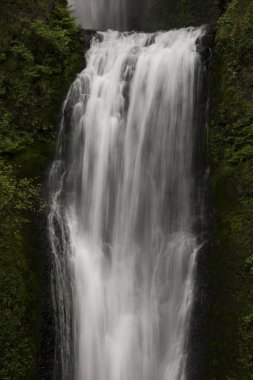 Ayrıntı, Multnomah Falls, Oregon