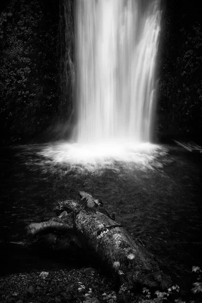Черно Белая Фотография Водопада Мультаха Ущелье Колумбия — стоковое фото
