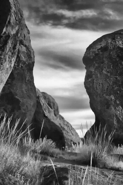 The Path: New Mexico — Stock Photo, Image