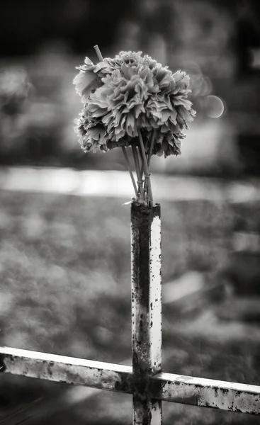 Fake Flowers Planted in a Cross — Stock Photo, Image