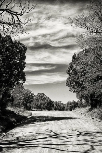 ニューメキシコ州ピノス アルトスの未舗装道路の黒と白の写真 — ストック写真