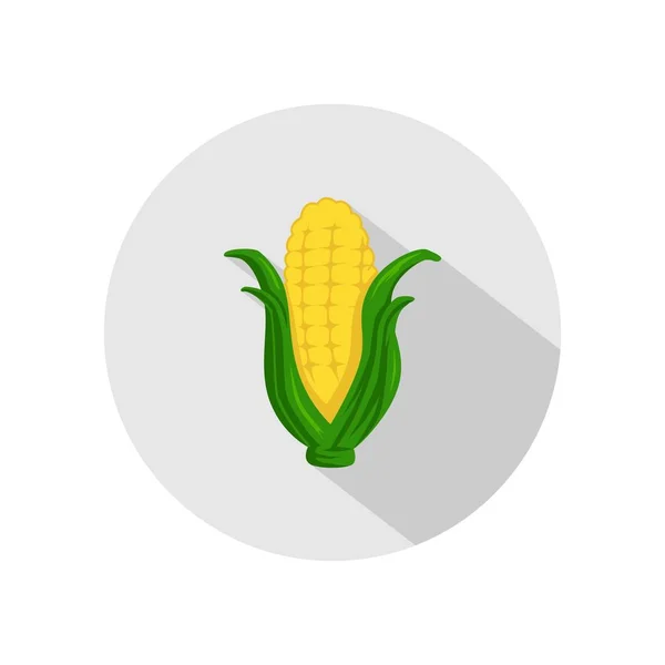 Вектор иконок кукурузы. иллюстрация кукурузы, выделенной на сером круге. здоровые овощи, икона питания — стоковый вектор