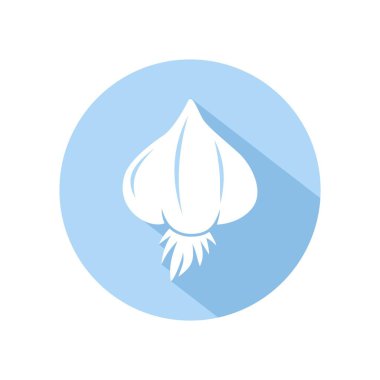 Sarımsak ikonu vektörü. Mavi dairede izole edilmiş sarımsak çizimi. sağlıklı sebze, beslenme simgesi