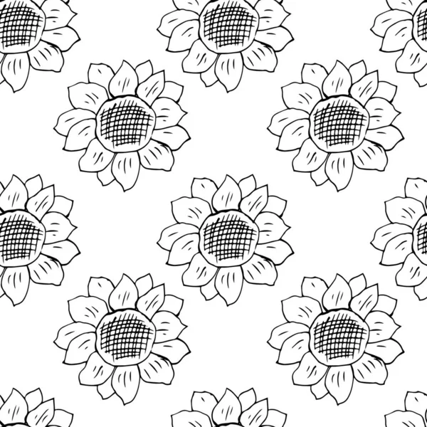 Outline Pattern Sunflowers Isolated White Background — Stock Vector