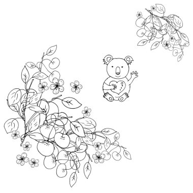 Beyaz bitkilerle Koala