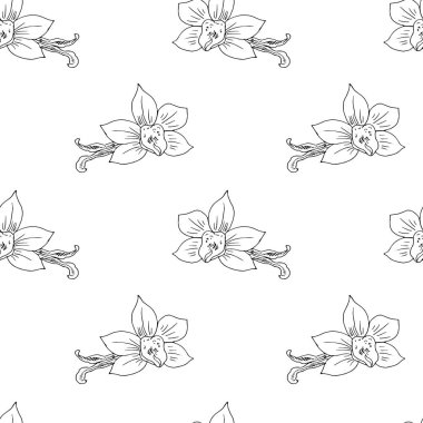 Beyaz arka planda izole edilmiş, kusursuz, tuhaf çiçekler.