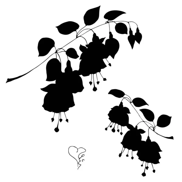 Zwarte Fuchsia Bloemen Silhouet Geïsoleerd Witte Achtergrond — Stockvector