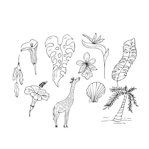 Żyrafa Liśćmi Tropikalnymi Białym Tle — Wektor stockowy