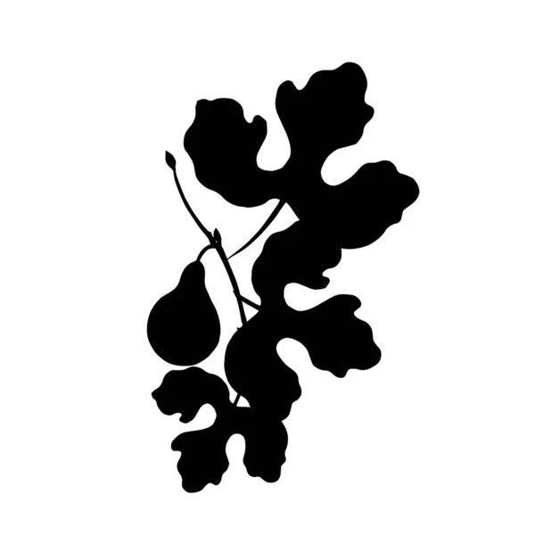 Poire Sur Branche Avec Feuilles — Image vectorielle