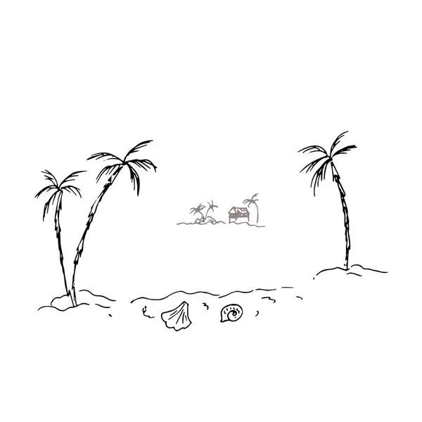 有棕榈和贝壳的岛屿 — 图库矢量图片