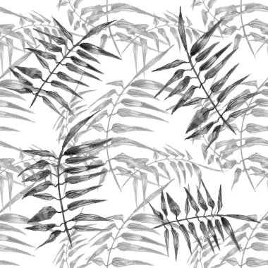 Beyaz arkaplanda gri eğrelti otu yaprakları olan basit desen çizimi