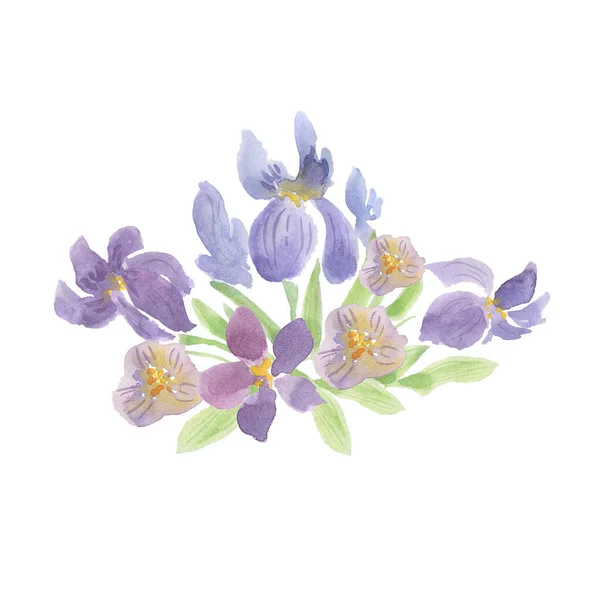 Aquarell Hintergrund Mit Violetten Iris Blumen — Stockfoto