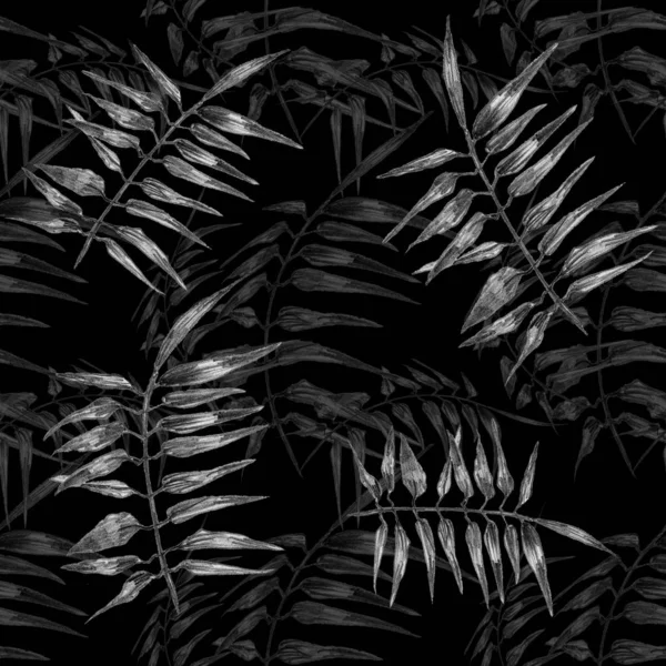 Απλά Μοτίβο Εικονογράφηση Γκρίζα Φύλλα Φτέρη Μαύρο Φόντο — Φωτογραφία Αρχείου