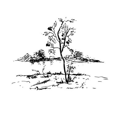 Beyaz arkaplanda kırsal ana hatlar çizimi