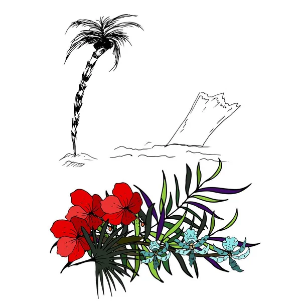 Exotic Outline Flowers Palm Isolated White Background — 스톡 벡터