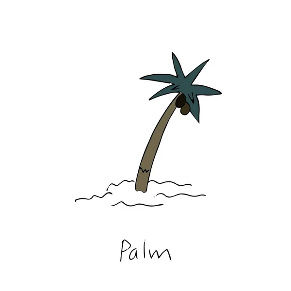 Palmera Coco Aislada Sobre Fondo Blanco — Vector de stock